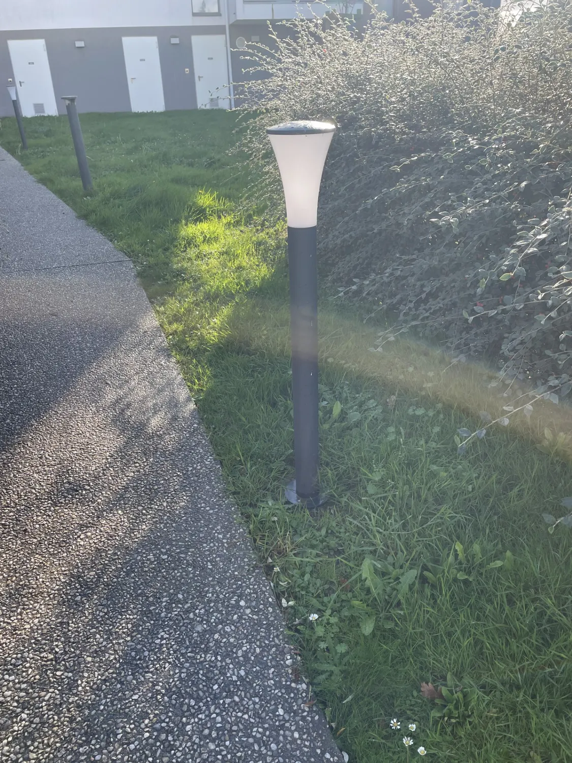 mise aux normes electriques pace