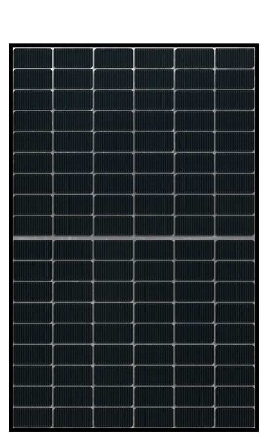 renovation electrique pace